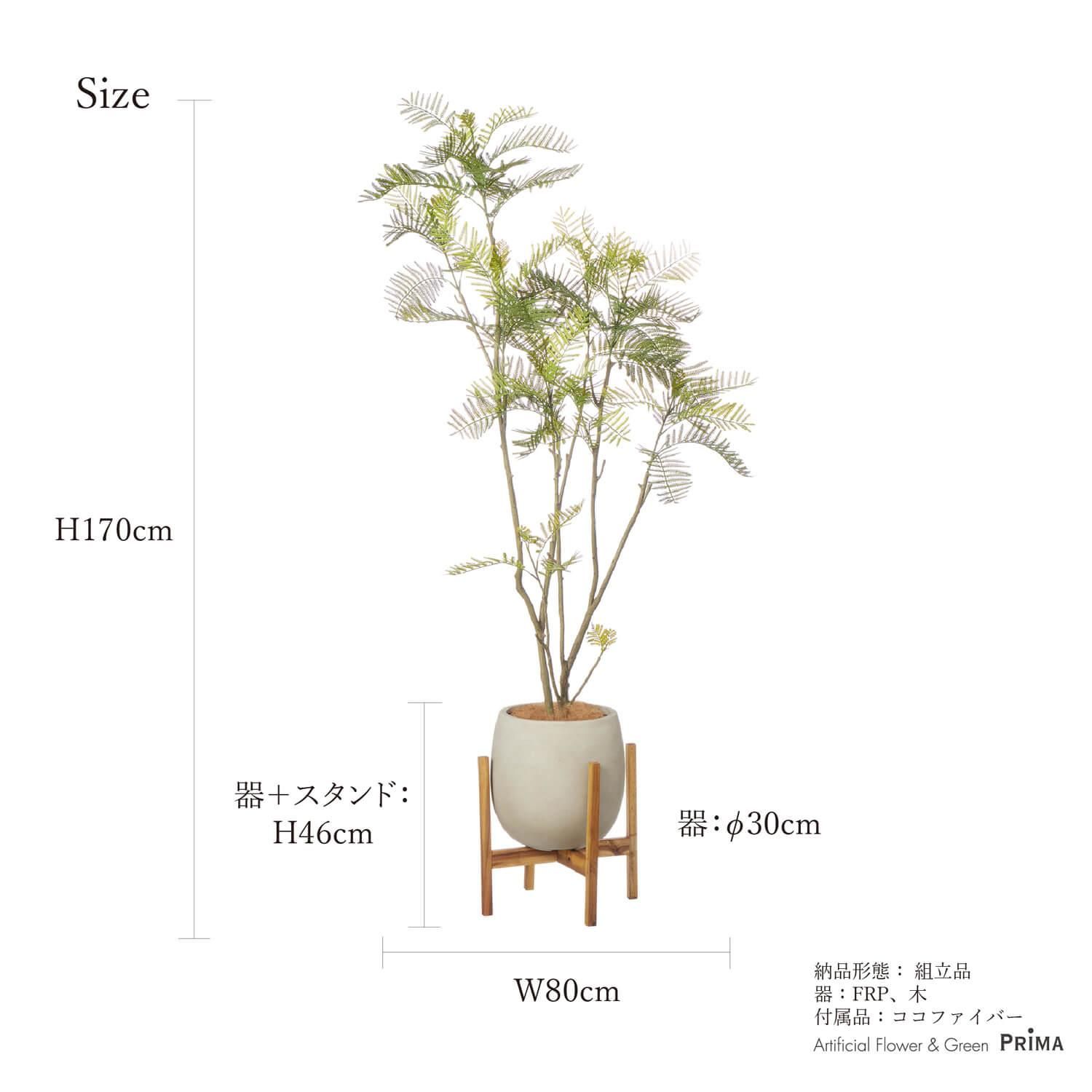 Сեå åݥåȵ H170cm ܥ꡼ տʪ ե꡼ Ҹľʡ<img class='new_mark_img2' src='https://img.shop-pro.jp/img/new/icons1.gif' style='border:none;display:inline;margin:0px;padding:0px;width:auto;' />