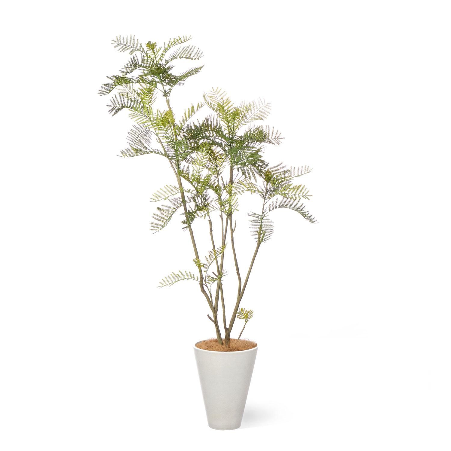 Сեå GWץ󥿡 H160cm ۥ磻 տʪ ե꡼ Ҹľʡ<img class='new_mark_img2' src='https://img.shop-pro.jp/img/new/icons1.gif' style='border:none;display:inline;margin:0px;padding:0px;width:auto;' />