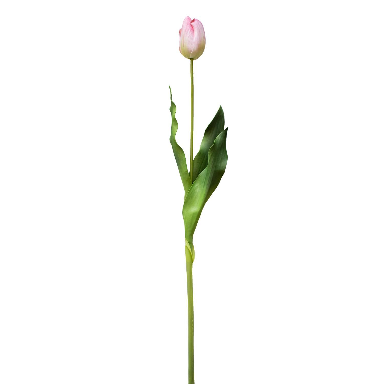 塼å L 饤ȥԥ ñʲֺ ¤ ƥեե <img class='new_mark_img2' src='https://img.shop-pro.jp/img/new/icons1.gif' style='border:none;display:inline;margin:0px;padding:0px;width:auto;' />