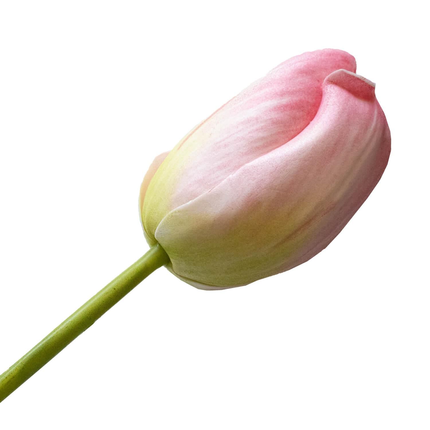 塼å L 饤ȥԥ ñʲֺ ¤ ƥեե <img class='new_mark_img2' src='https://img.shop-pro.jp/img/new/icons1.gif' style='border:none;display:inline;margin:0px;padding:0px;width:auto;' />