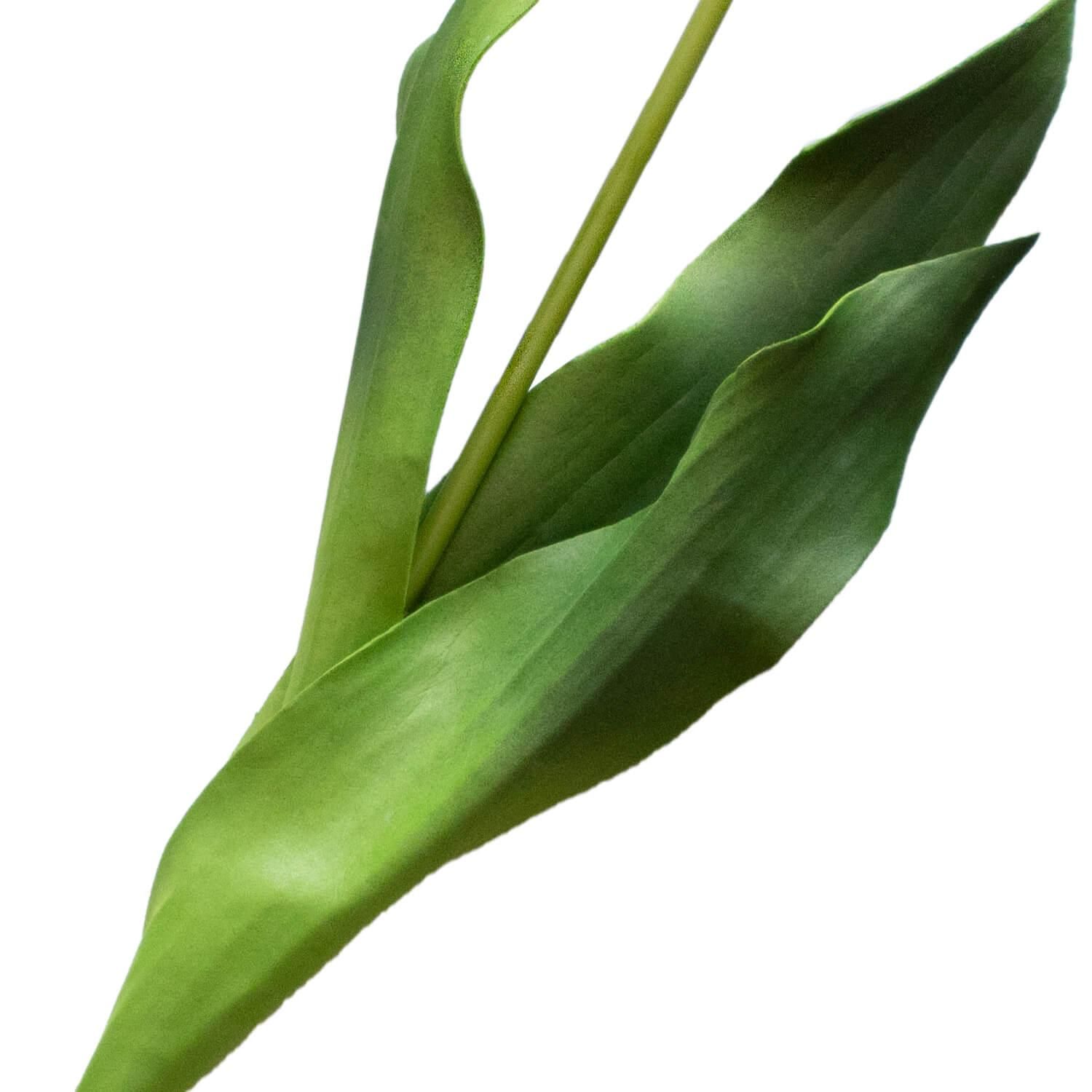 塼å L 饤ȥԥ ñʲֺ ¤ ƥեե <img class='new_mark_img2' src='https://img.shop-pro.jp/img/new/icons1.gif' style='border:none;display:inline;margin:0px;padding:0px;width:auto;' />