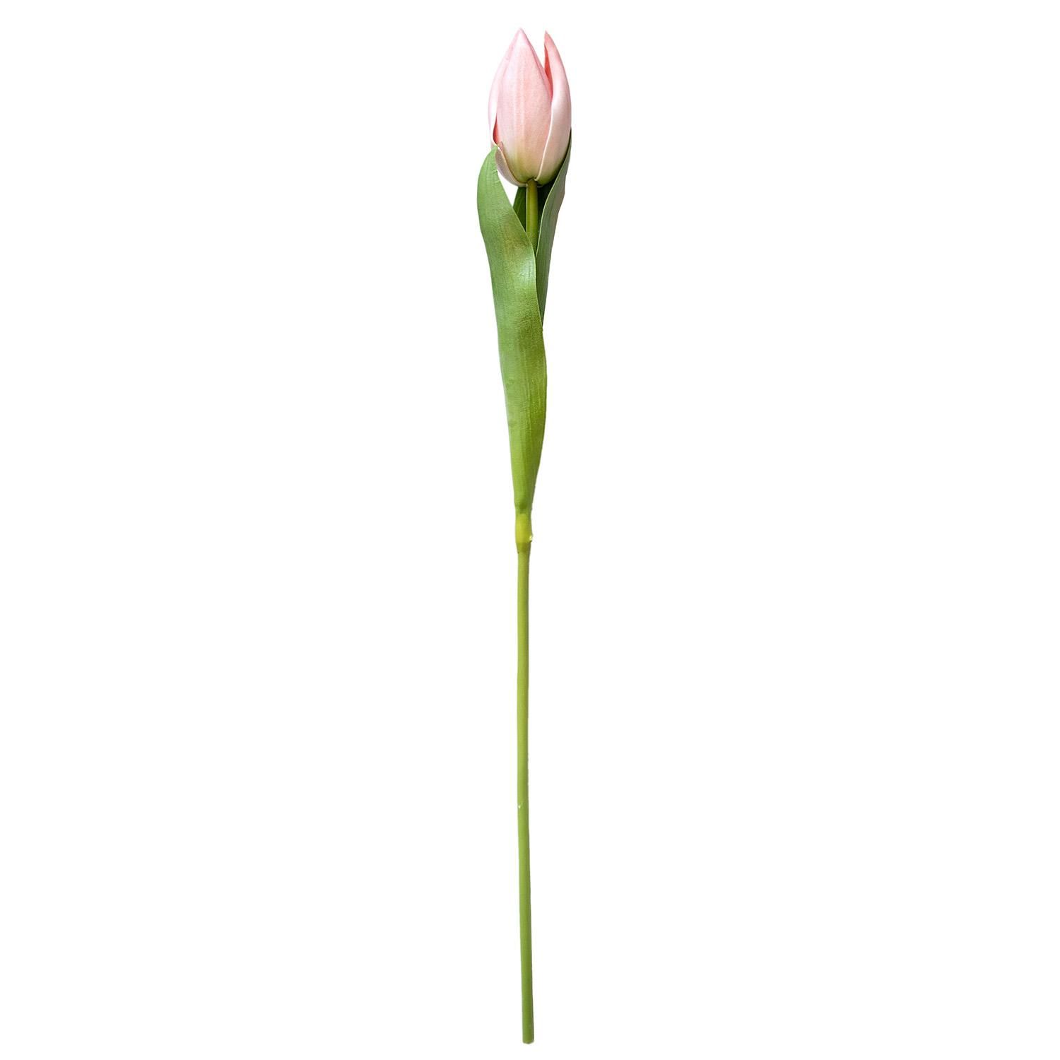 塼å M 饤ȥԥ ñʲֺ ¤ ƥեե <img class='new_mark_img2' src='https://img.shop-pro.jp/img/new/icons1.gif' style='border:none;display:inline;margin:0px;padding:0px;width:auto;' />