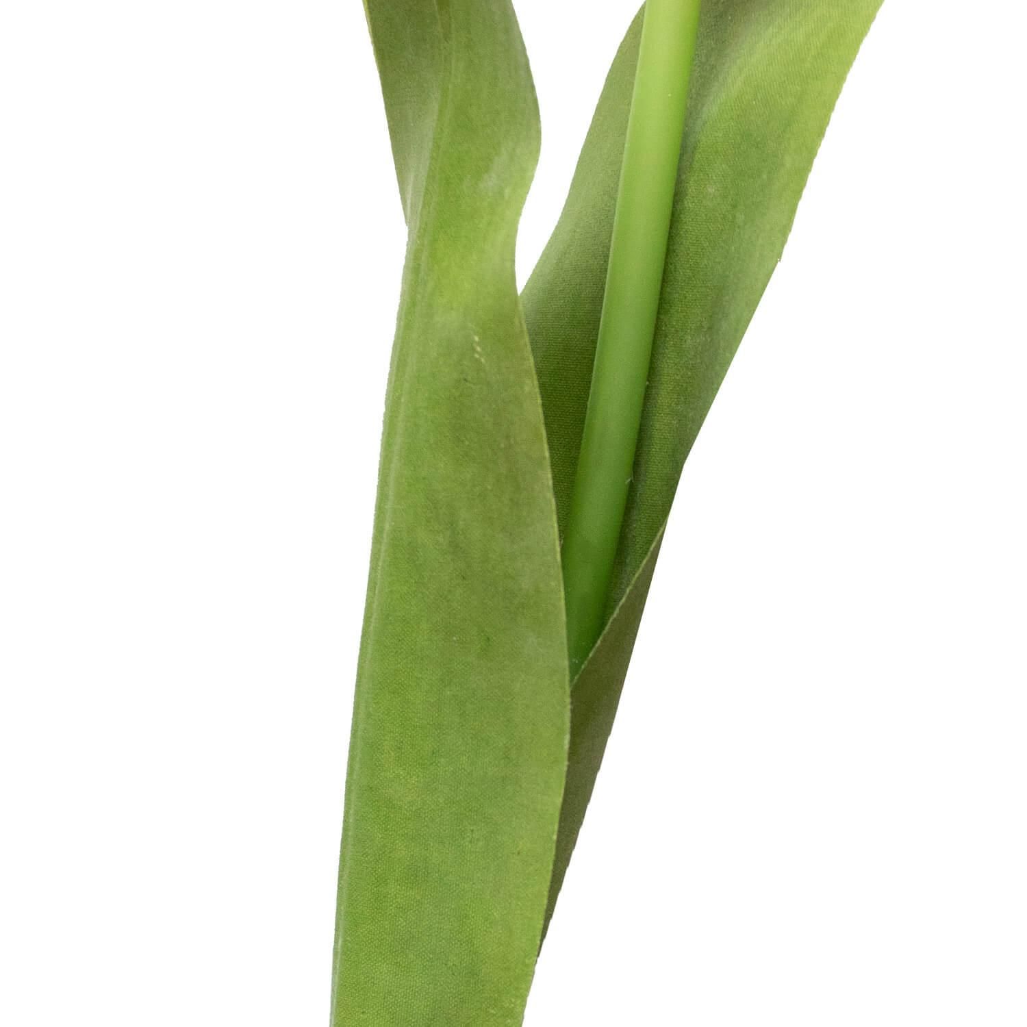 塼å M 饤ȥԥ ñʲֺ ¤ ƥեե <img class='new_mark_img2' src='https://img.shop-pro.jp/img/new/icons1.gif' style='border:none;display:inline;margin:0px;padding:0px;width:auto;' />