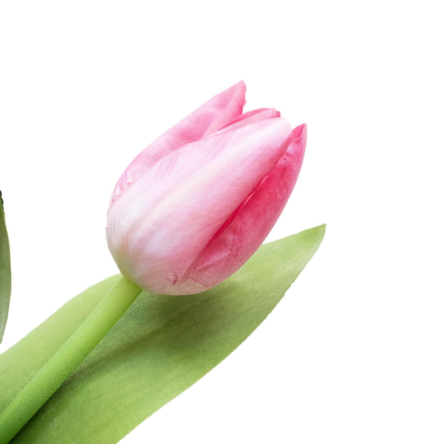 塼å S ԥ ñʲֺ ¤ ƥեե <img class='new_mark_img2' src='https://img.shop-pro.jp/img/new/icons1.gif' style='border:none;display:inline;margin:0px;padding:0px;width:auto;' />