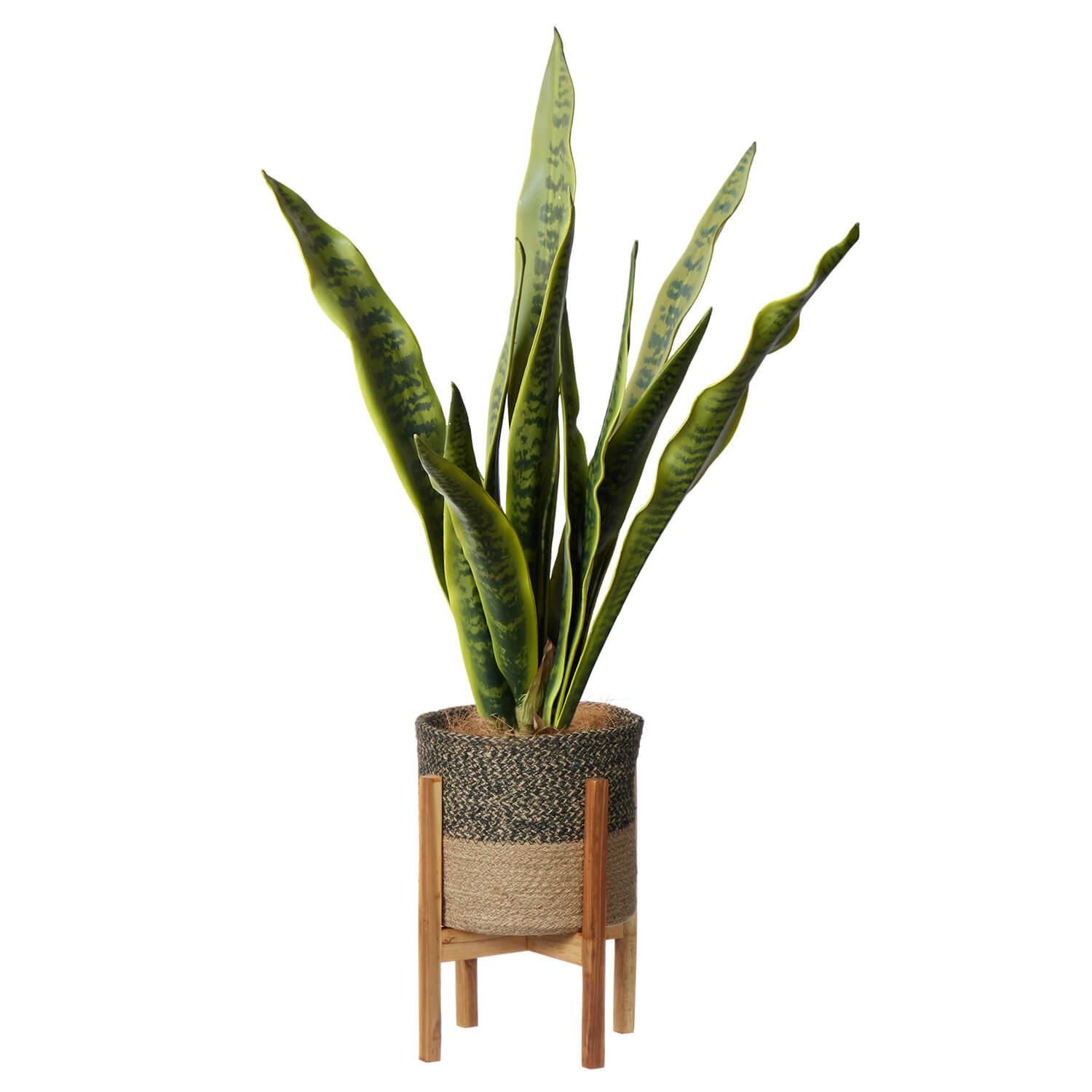 󥻥٥ꥢ 塼ȥݥåȵ H91cm տʪ ե꡼<img class='new_mark_img2' src='https://img.shop-pro.jp/img/new/icons1.gif' style='border:none;display:inline;margin:0px;padding:0px;width:auto;' />