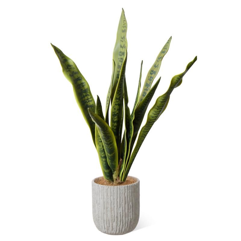 󥻥٥ꥢ ٥ꥹݥå H71cm տʪ ե꡼<img class='new_mark_img2' src='https://img.shop-pro.jp/img/new/icons1.gif' style='border:none;display:inline;margin:0px;padding:0px;width:auto;' />