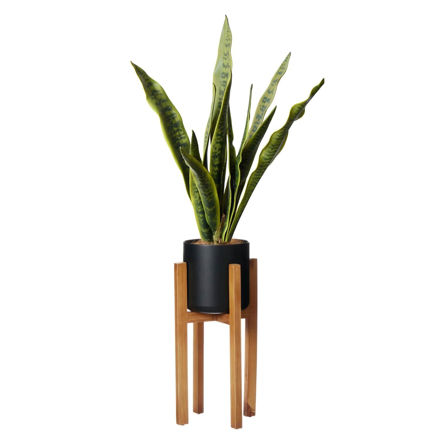 󥻥٥ꥢ åɥ H107cm տʪ ե꡼<img class='new_mark_img2' src='https://img.shop-pro.jp/img/new/icons1.gif' style='border:none;display:inline;margin:0px;padding:0px;width:auto;' />