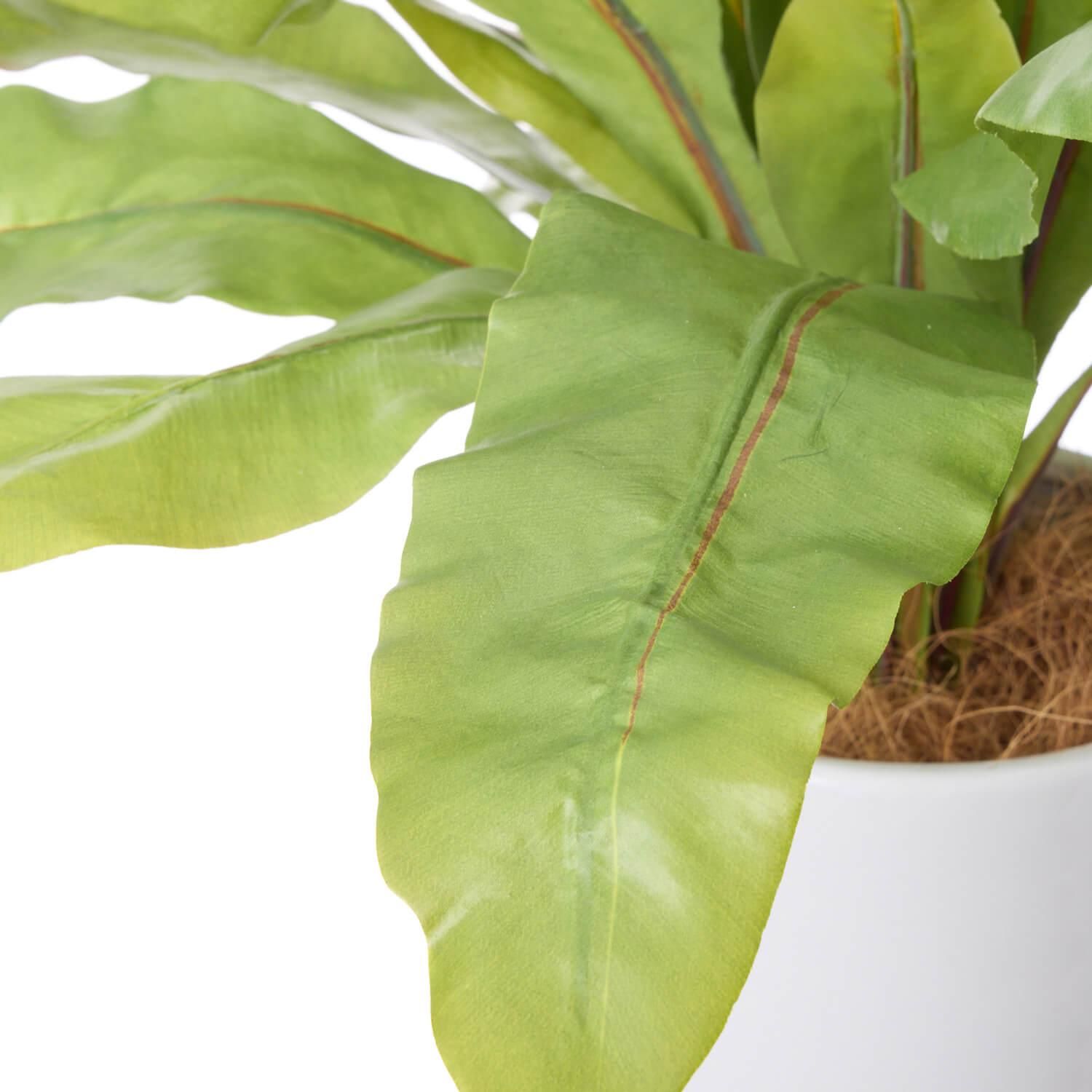 ˥勵 塼ȥݥå H42cm տʪ ե꡼<img class='new_mark_img2' src='https://img.shop-pro.jp/img/new/icons1.gif' style='border:none;display:inline;margin:0px;padding:0px;width:auto;' />