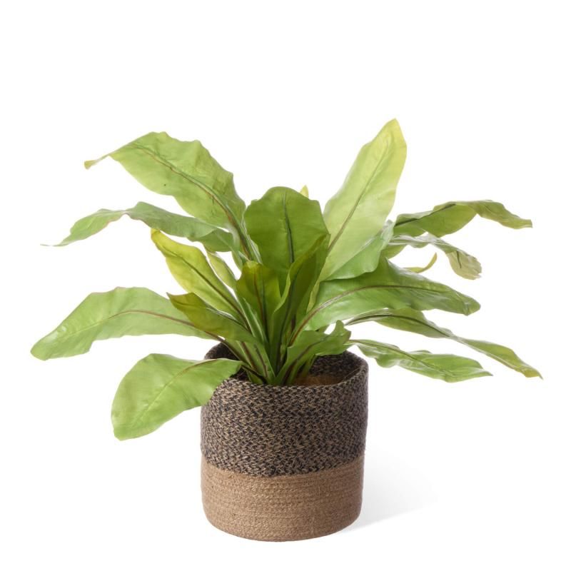 ˥勵 塼ȥݥå H42cm տʪ ե꡼<img class='new_mark_img2' src='https://img.shop-pro.jp/img/new/icons1.gif' style='border:none;display:inline;margin:0px;padding:0px;width:auto;' />