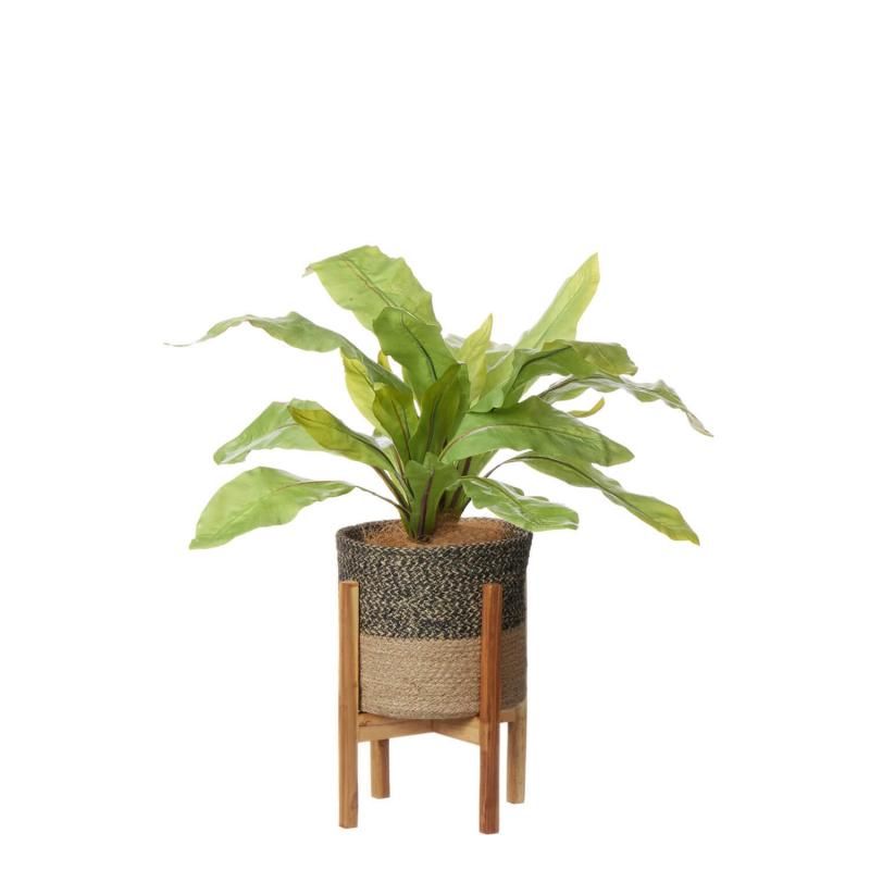 ˥勵 塼ȥݥåȵ H63cm տʪ ե꡼<img class='new_mark_img2' src='https://img.shop-pro.jp/img/new/icons1.gif' style='border:none;display:inline;margin:0px;padding:0px;width:auto;' />