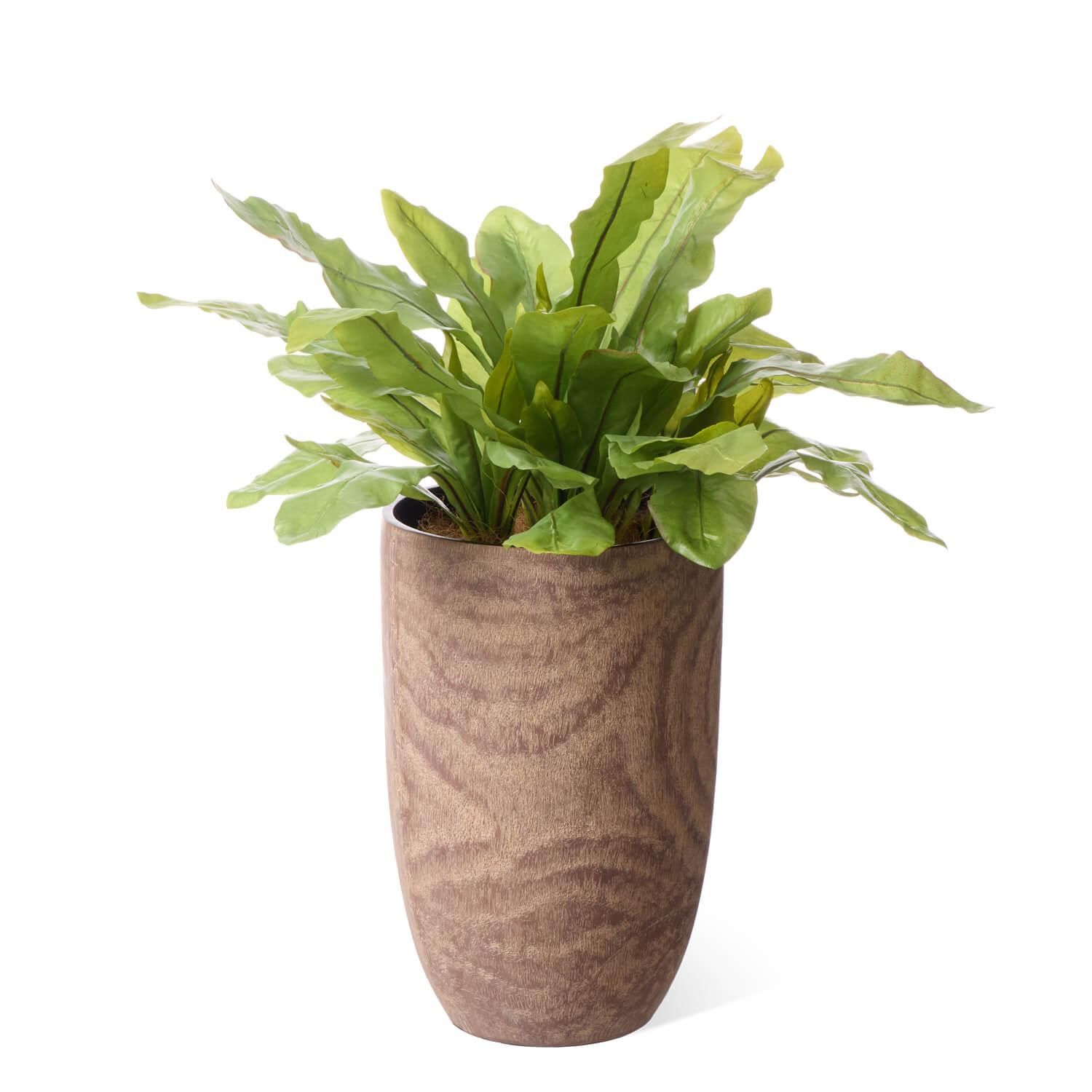 ˥勵 åɥץ󥿡 H85cm տʪ ե꡼<img class='new_mark_img2' src='https://img.shop-pro.jp/img/new/icons1.gif' style='border:none;display:inline;margin:0px;padding:0px;width:auto;' />