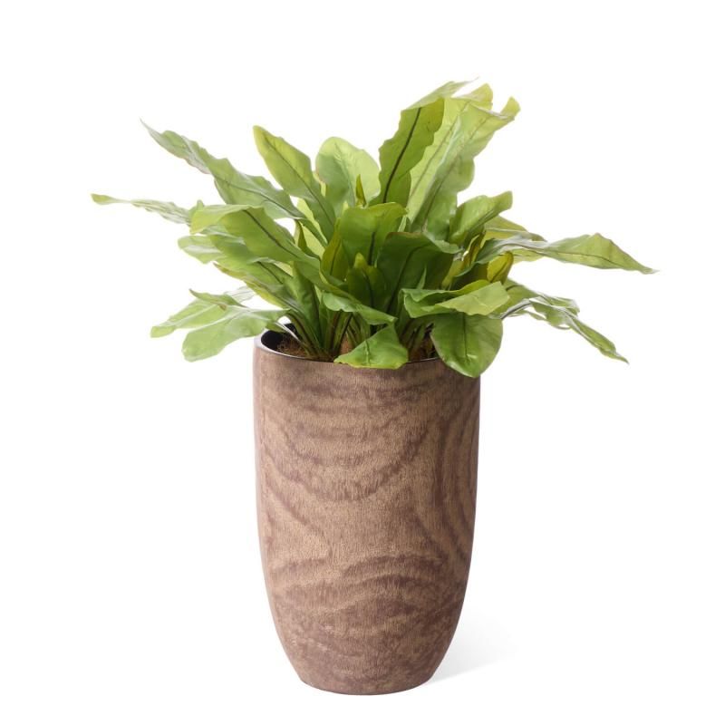 ˥勵 åɥץ󥿡 H85cm տʪ ե꡼<img class='new_mark_img2' src='https://img.shop-pro.jp/img/new/icons1.gif' style='border:none;display:inline;margin:0px;padding:0px;width:auto;' />