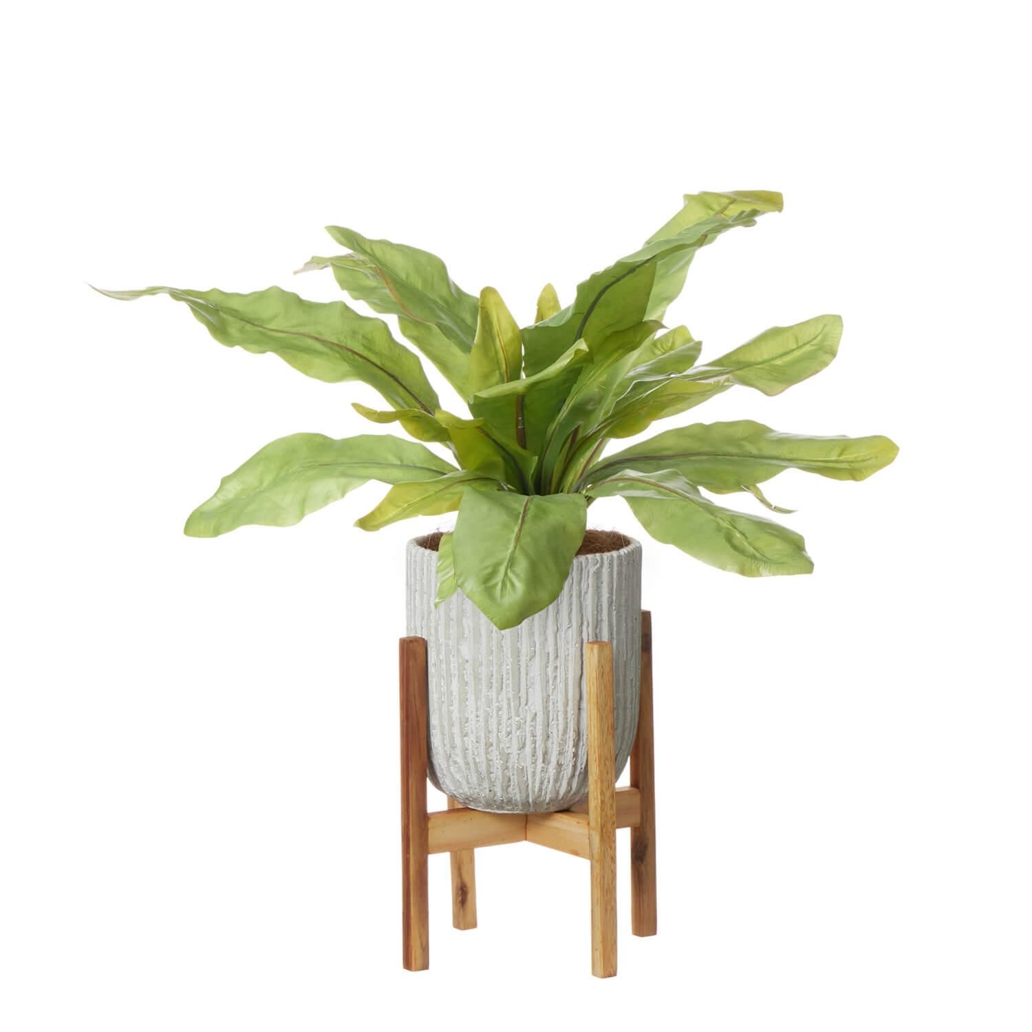 ˥勵 ٥ꥹݥåȵH58cm տʪ ե꡼<img class='new_mark_img2' src='https://img.shop-pro.jp/img/new/icons1.gif' style='border:none;display:inline;margin:0px;padding:0px;width:auto;' />