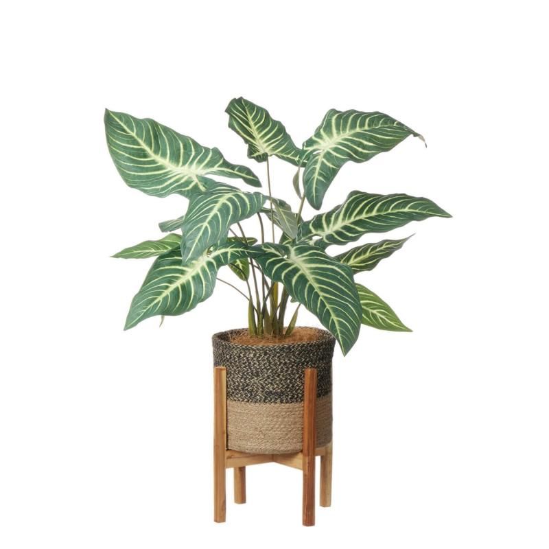 ȥ 塼ȥݥåȵ H63cm տʪ ե꡼<img class='new_mark_img2' src='https://img.shop-pro.jp/img/new/icons1.gif' style='border:none;display:inline;margin:0px;padding:0px;width:auto;' />