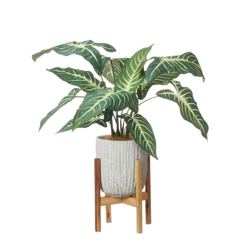 ȥ ٥ꥹݥåȵH60cm տʪ ե꡼<img class='new_mark_img2' src='https://img.shop-pro.jp/img/new/icons1.gif' style='border:none;display:inline;margin:0px;padding:0px;width:auto;' />