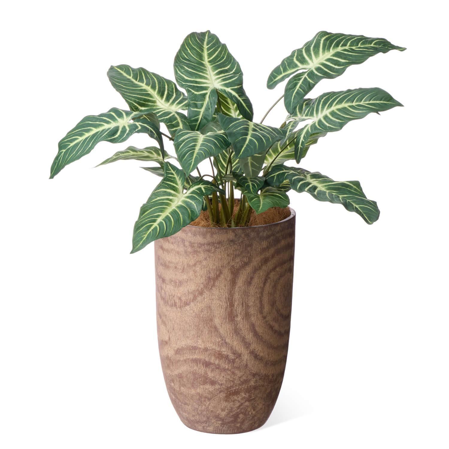 ȥ åɥץ󥿡 H85cm տʪ ե꡼<img class='new_mark_img2' src='https://img.shop-pro.jp/img/new/icons1.gif' style='border:none;display:inline;margin:0px;padding:0px;width:auto;' />