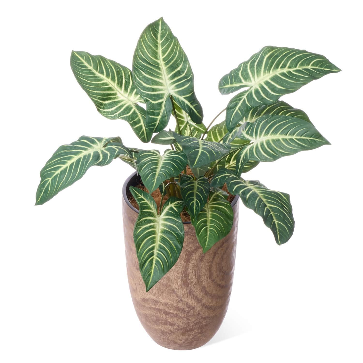 ȥ åɥץ󥿡 H85cm տʪ ե꡼<img class='new_mark_img2' src='https://img.shop-pro.jp/img/new/icons1.gif' style='border:none;display:inline;margin:0px;padding:0px;width:auto;' />