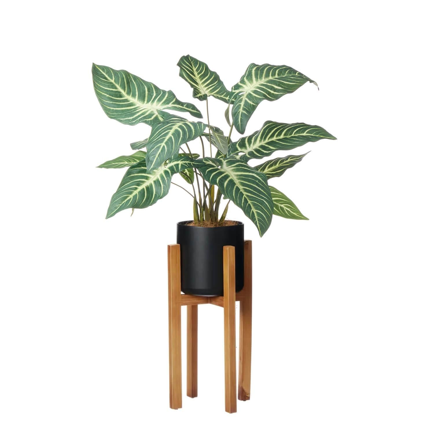 ȥ åɥ H77cm տʪ ե꡼<img class='new_mark_img2' src='https://img.shop-pro.jp/img/new/icons1.gif' style='border:none;display:inline;margin:0px;padding:0px;width:auto;' />