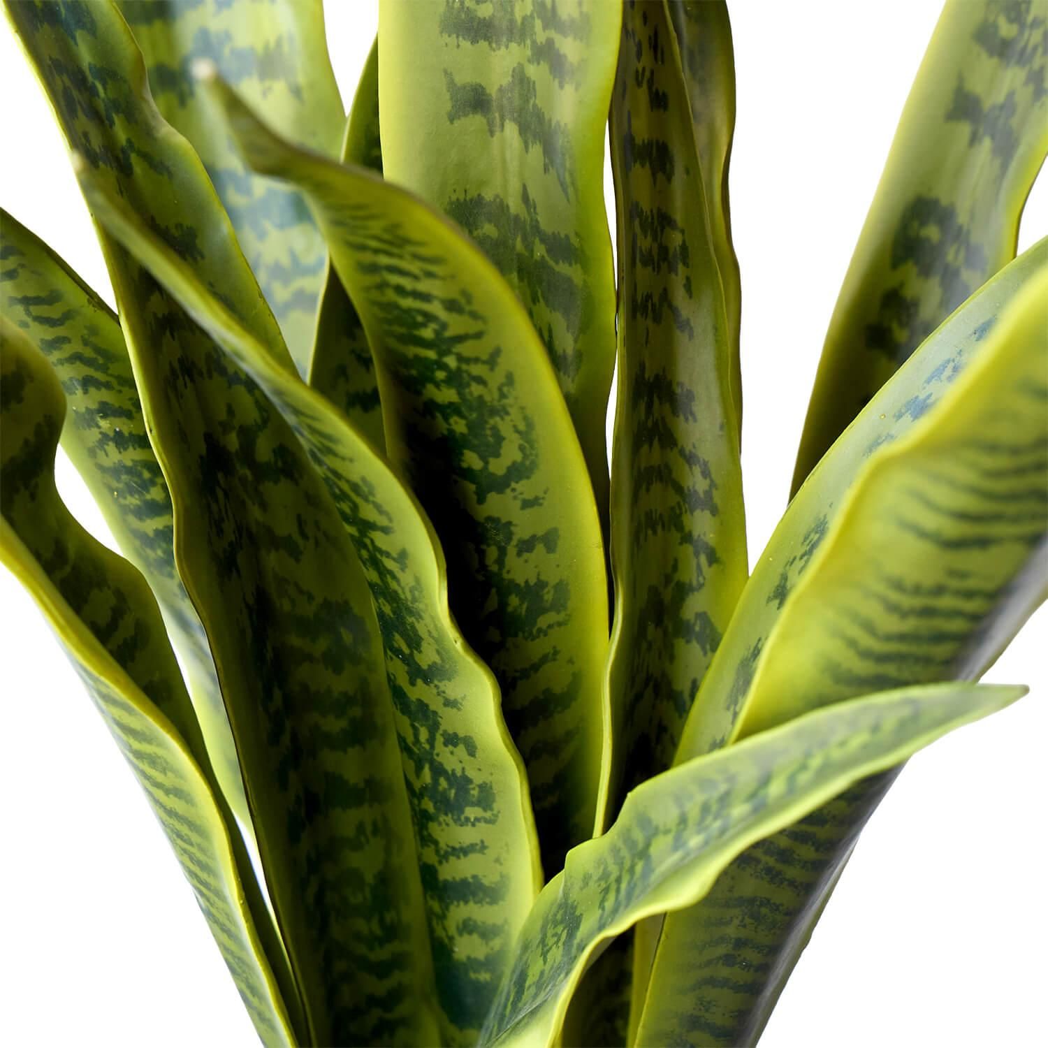 󥻥٥ꥢ ʡݥå տʪ ե꡼<img class='new_mark_img2' src='https://img.shop-pro.jp/img/new/icons1.gif' style='border:none;display:inline;margin:0px;padding:0px;width:auto;' />