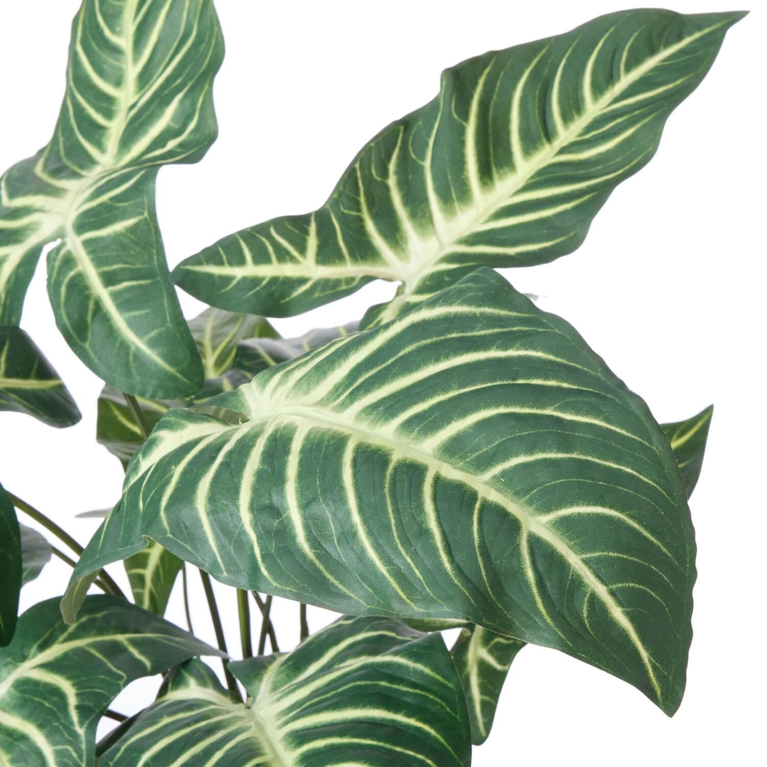 ȥ ʡݥå տʪ ե꡼<img class='new_mark_img2' src='https://img.shop-pro.jp/img/new/icons1.gif' style='border:none;display:inline;margin:0px;padding:0px;width:auto;' />