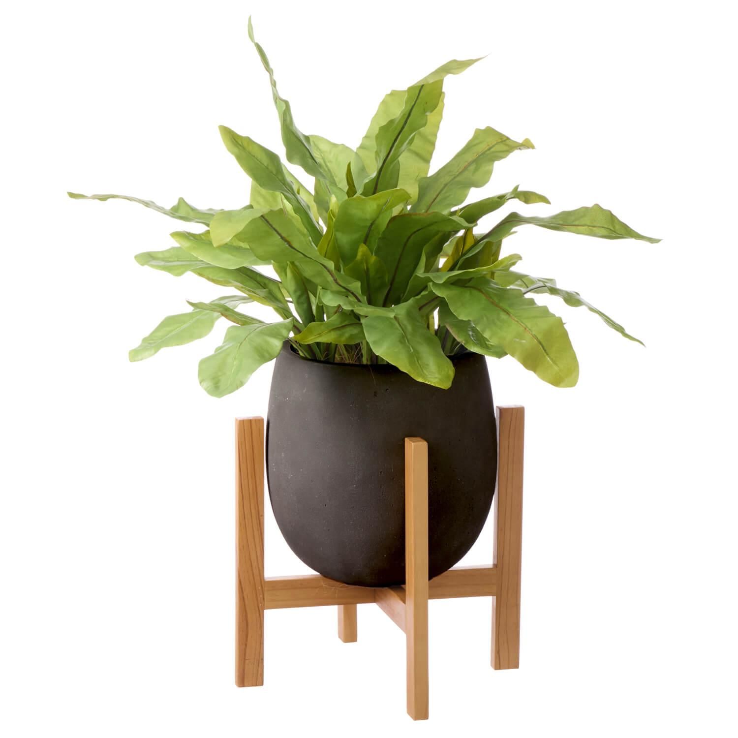 ˥勵 åݥåȵ H85cm ֥å տʪ ե꡼<img class='new_mark_img2' src='https://img.shop-pro.jp/img/new/icons1.gif' style='border:none;display:inline;margin:0px;padding:0px;width:auto;' />