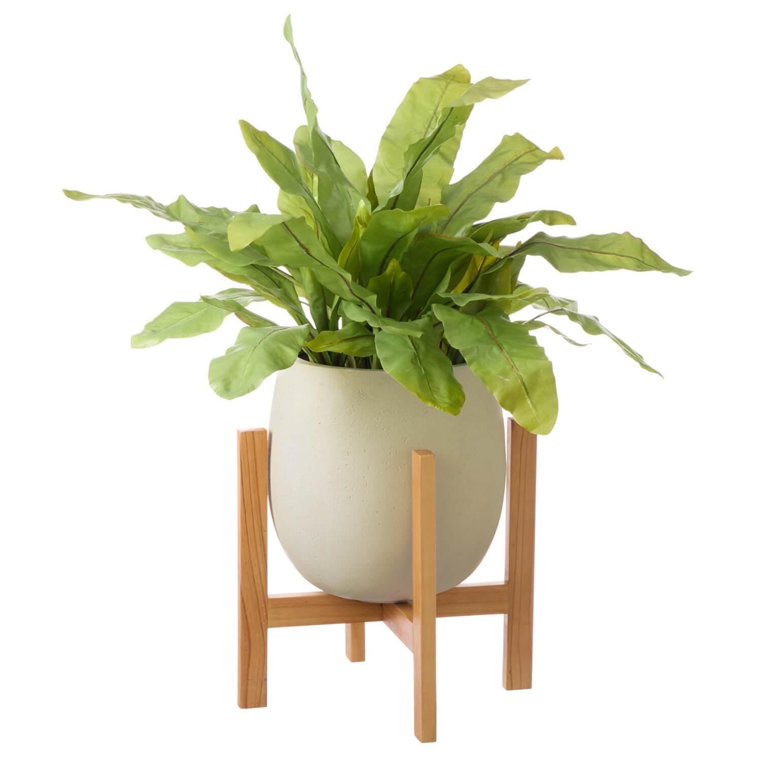 ˥勵 åݥåȵ H85cm ܥ꡼ տʪ ե꡼ <img class='new_mark_img2' src='https://img.shop-pro.jp/img/new/icons1.gif' style='border:none;display:inline;margin:0px;padding:0px;width:auto;' />