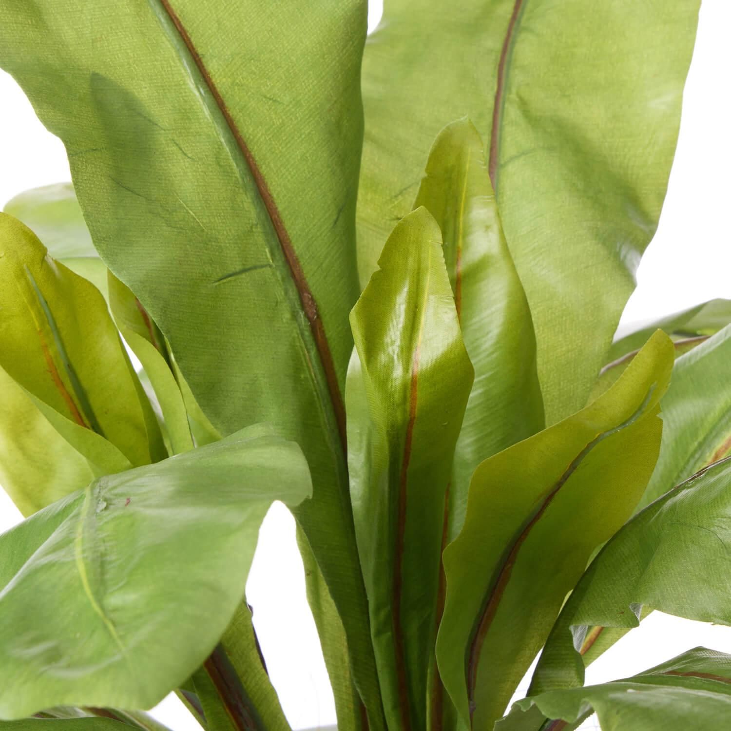 ˥勵 åݥåȵ H85cm ܥ꡼ տʪ ե꡼ <img class='new_mark_img2' src='https://img.shop-pro.jp/img/new/icons1.gif' style='border:none;display:inline;margin:0px;padding:0px;width:auto;' />