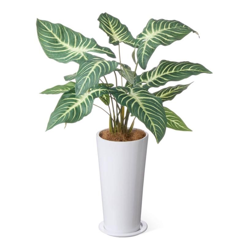 ȥ ץ󥿡 H75cm տʪ ե꡼<img class='new_mark_img2' src='https://img.shop-pro.jp/img/new/icons1.gif' style='border:none;display:inline;margin:0px;padding:0px;width:auto;' />