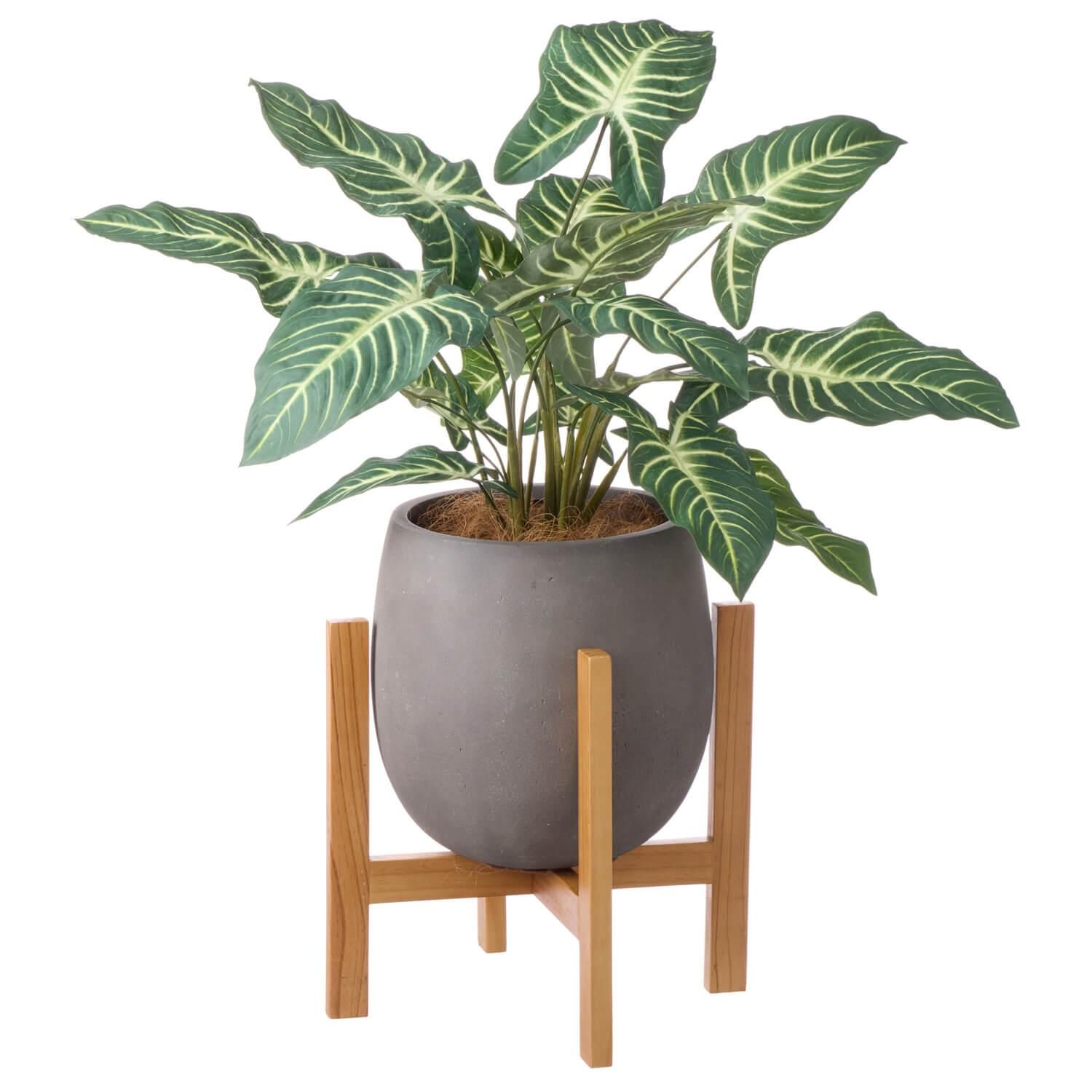 ȥ åݥåȵ H85cm 졼 տʪ ե꡼<img class='new_mark_img2' src='https://img.shop-pro.jp/img/new/icons1.gif' style='border:none;display:inline;margin:0px;padding:0px;width:auto;' />