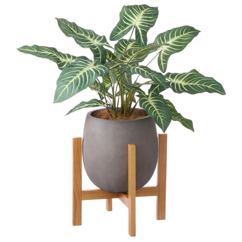 ȥ åݥåȵ H85cm 졼 տʪ ե꡼<img class='new_mark_img2' src='https://img.shop-pro.jp/img/new/icons1.gif' style='border:none;display:inline;margin:0px;padding:0px;width:auto;' />