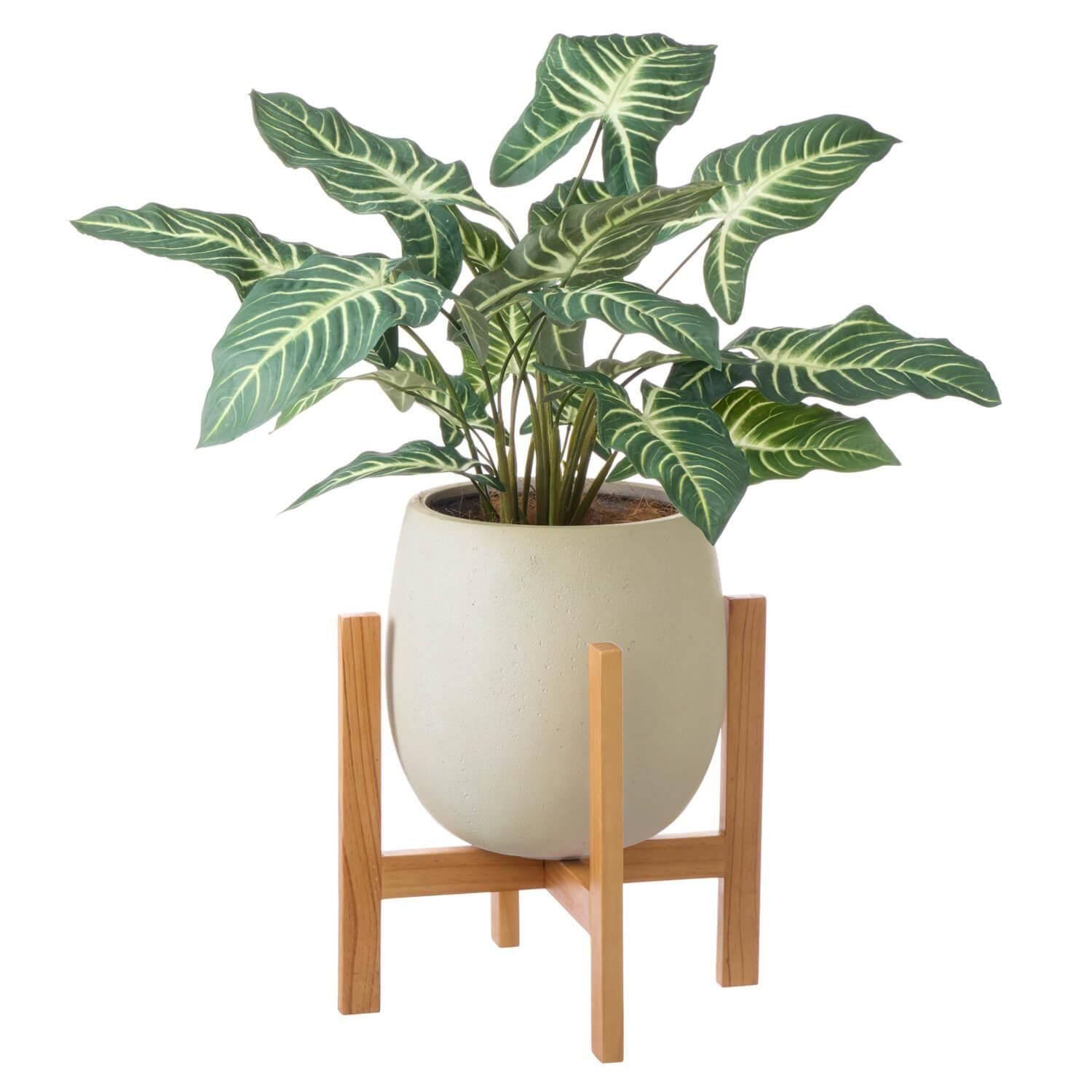 ȥ åݥåȵ H85cm ܥ꡼ տʪ ե꡼<img class='new_mark_img2' src='https://img.shop-pro.jp/img/new/icons1.gif' style='border:none;display:inline;margin:0px;padding:0px;width:auto;' />