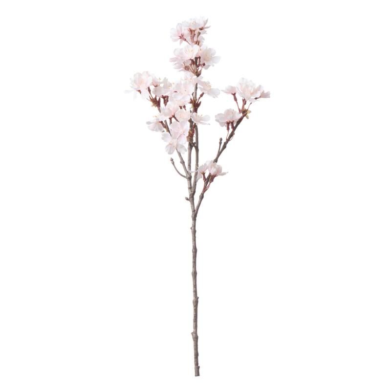 �� ������� H50cm ñ�ʲֺ� ¤�� �����ƥ��ե������ե�<img class='new_mark_img2' src='https://img.shop-pro.jp/img/new/icons1.gif' style='border:none;display:inline;margin:0px;padding:0px;width:auto;' />