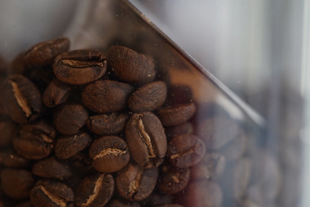 コーヒー豆 Volibia（ボリビア）浅煎り ゲイシャ 4Llamas - 100g