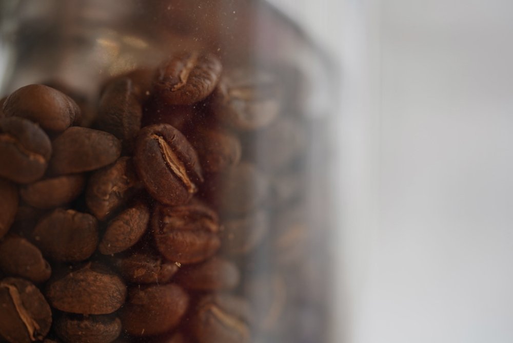 コーヒー豆 El Salvador（エルサルバドル）浅煎り Finca Montenevado Anaerobic Washed - 200g