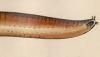̥ʥ Myxinidae