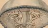 ӥ󥯥饲 Rhizostomatidae