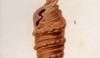 ꥬޥ Turritellidae