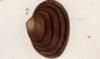 ɥ֥߲ Spheridae