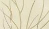 䥮 Ellisellidae