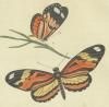 The Naturalist's Repository