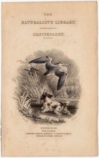 1839ǯ JARDINE NATURALIST'S LIBRARY ORNITHOLOGY VOL.III Ļ ȥڡ