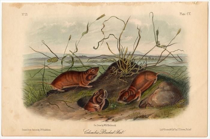 133302056.jpg?cmsp_timestamp=