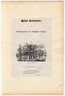 1830年 Strutt Sylva Britannica タイトルページ New Forest