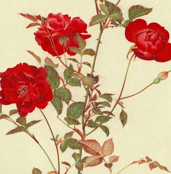 立体絵画の「一輪の薔薇と、近寄る昆虫」 イチリンザシソックリムシ」東京個展開催中 一輪挿しから虫に
