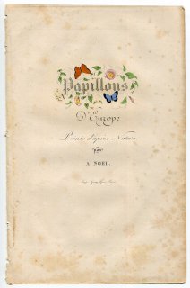 1864年 Lucas ヨーロッパ鱗翅類 Papillons D'Europe タイトルページ