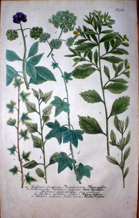 版画　イザ・グラタス　　 グラタス2 『黄色い花』 141/300 版画 イザ・グラタス グラタス2 『黄色い花』 141/300