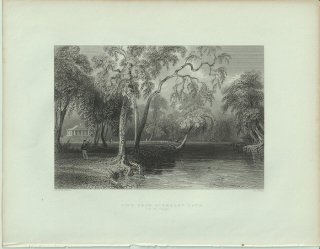 1840年 Bartlett アメリカの風景 グレンマリ・ローンからの眺め View from Glenmary Lawn