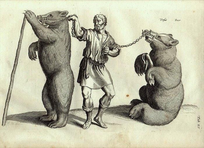 キツネの図版　フランス　アンティーク　版画　1880年　動物　博物画　額縁 132172900.jpg?cmsp_timestamp=