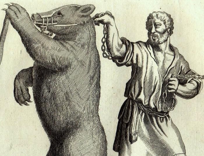 1660年 ヨンストン 鳥獣虫魚図譜 pl.55 熊使い Ursus Bear