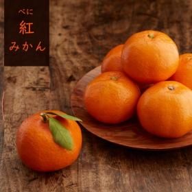 極早生みかんと早生みかんの違い 時期で異なる温州みかんの呼び方 極早生みかんと早生みかんの違い 時期で異なる温州みかんの呼び方